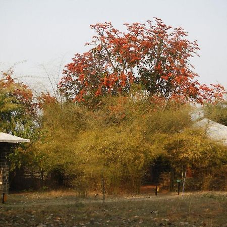 ホテル Renest Bandhavgarh Meadows Tāla エクステリア 写真