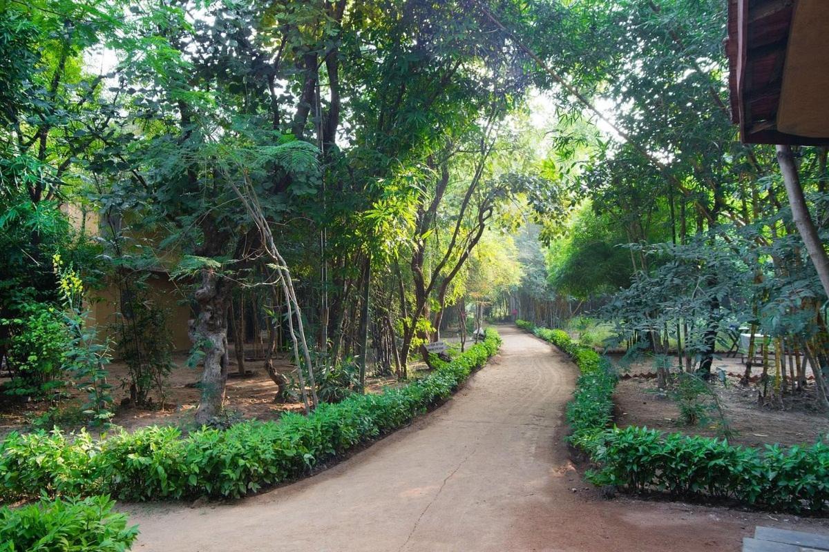 ホテル Renest Bandhavgarh Meadows Tāla エクステリア 写真