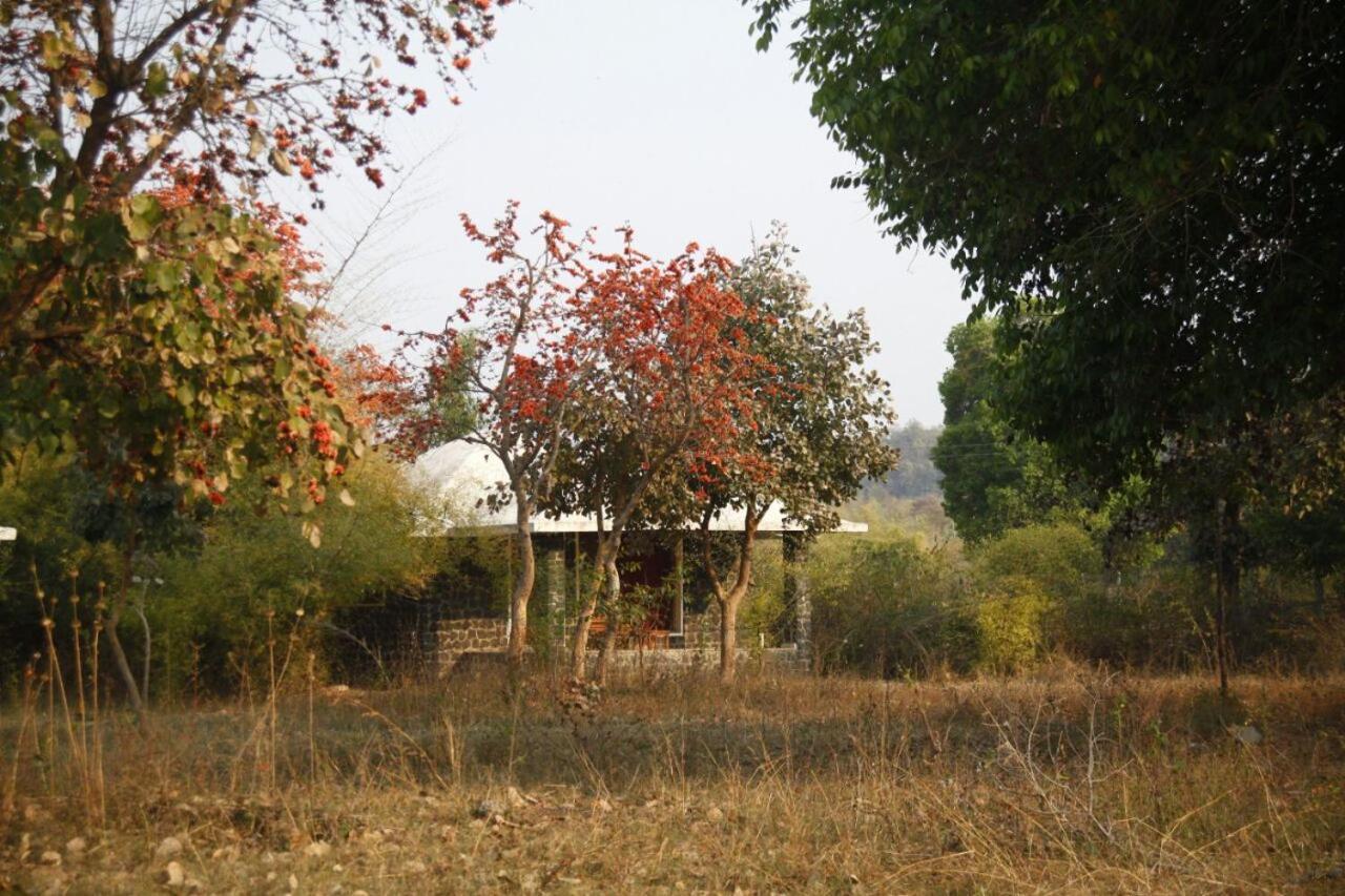 ホテル Renest Bandhavgarh Meadows Tāla エクステリア 写真