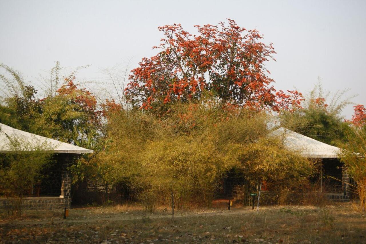 ホテル Renest Bandhavgarh Meadows Tāla エクステリア 写真